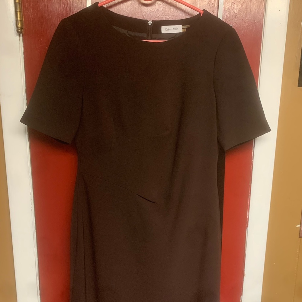 Calvin Klein Mahogany SS Dress (8)